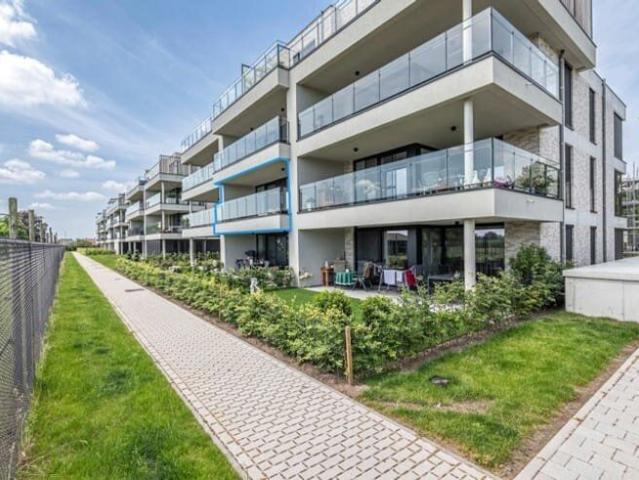 Kot location à Oud-turnhout, Antwerpen