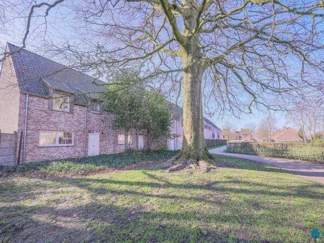 Maison location à Aalter, Oost-Vlaanderen