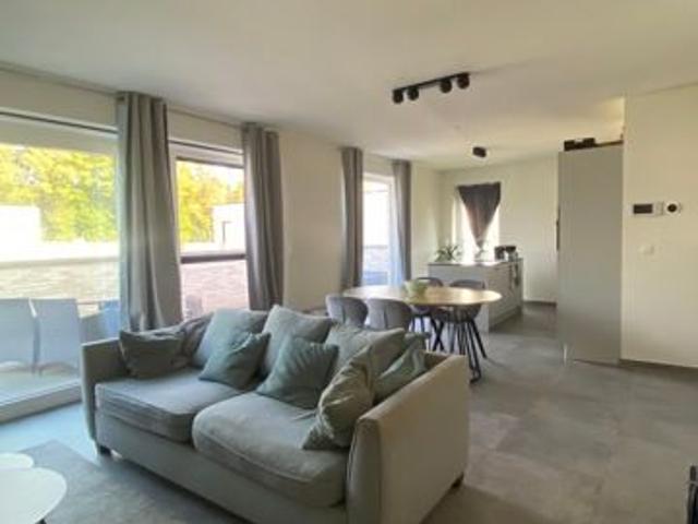 Appartement location à Bree