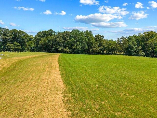 Land for sale in White Pine Land for sale in White Pine