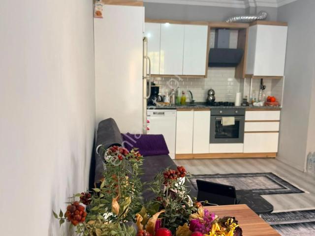Niksar, Tokat içerisinde kiralık mülk
