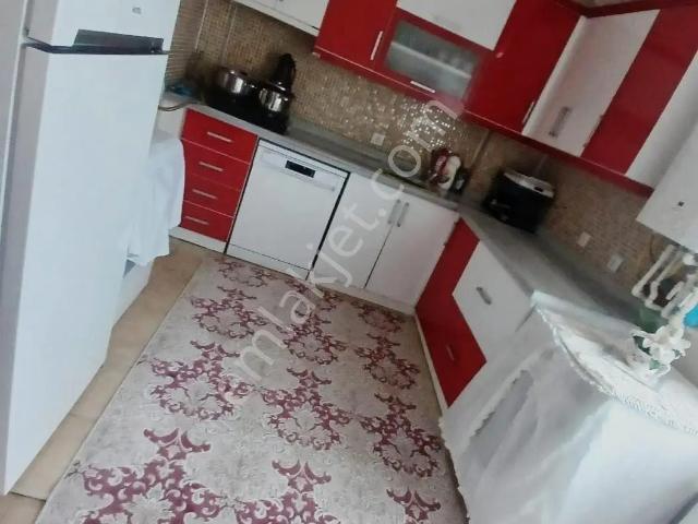 Niksar, Tokat içerisinde kiralık mülk