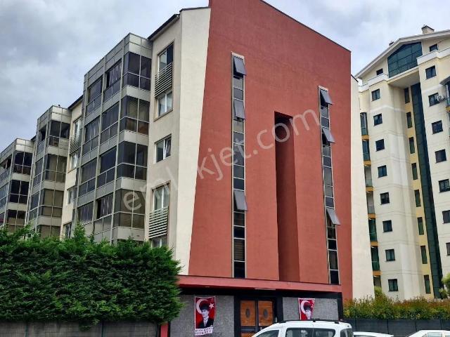 Nilüfer, Bursa içerisinde kiralık mülk