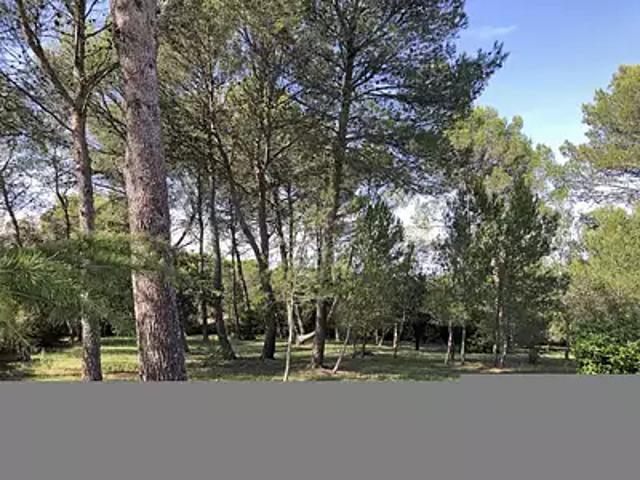 Maison vente à Nîmes, Écusson