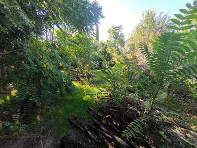 Terrain vente à Lons-le-Saunier, Lons-le-saunier