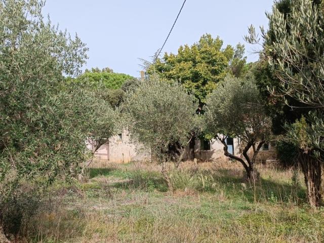 Maison vente à Nîmes