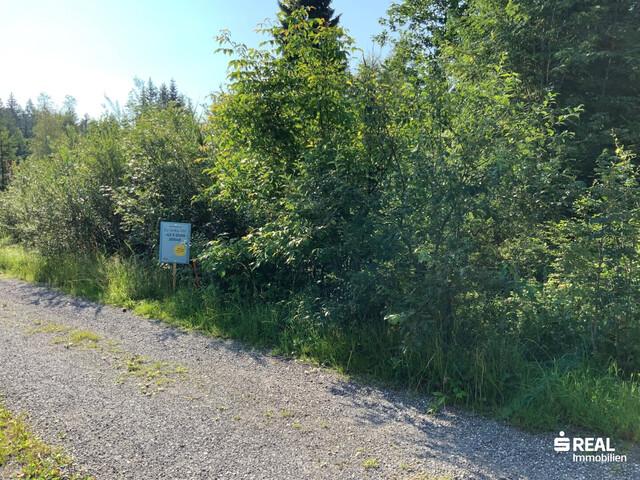 Grundstück kaufen in Egg, Vorarlberg