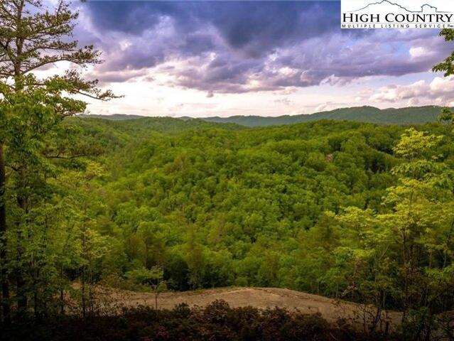 Land for sale in Boone