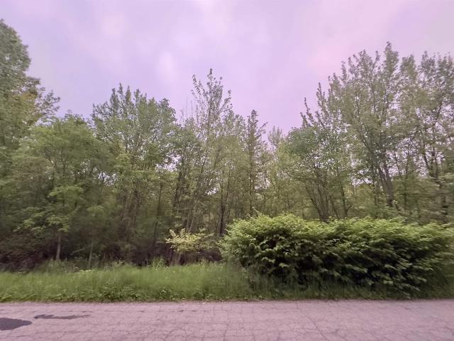 Land for sale in Michigan Center, Michigan