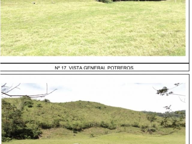 Finca en venta en Nirgua, Yaracuy