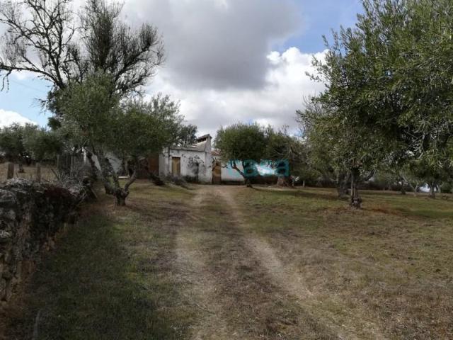 Terreno venda em Nisa, Portalegre
