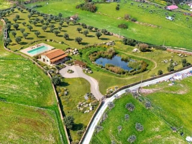 Terreno venda em Parque Fotovoltaico de Nisa, Nisa