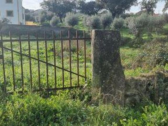 Terreno venda em Nisa, Portalegre