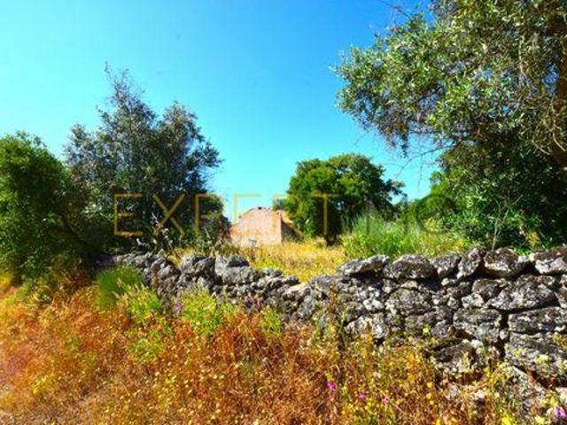 Terreno venda em Nisa, Portalegre