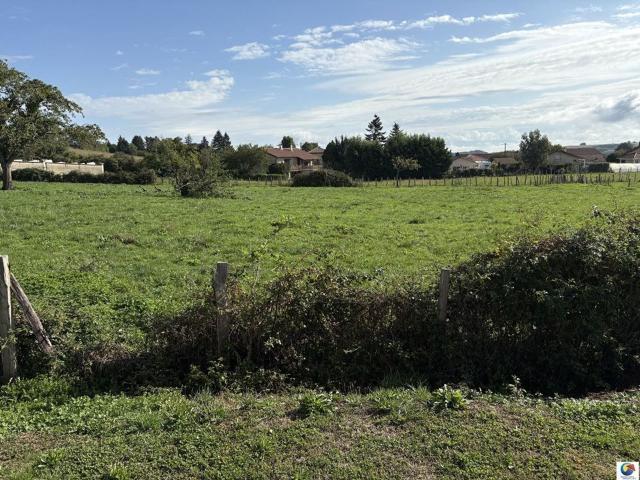 Maison vente à La Tour-du-Pin, Nivolas-vermelle