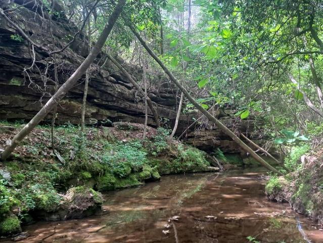 Land for sale in Alabama