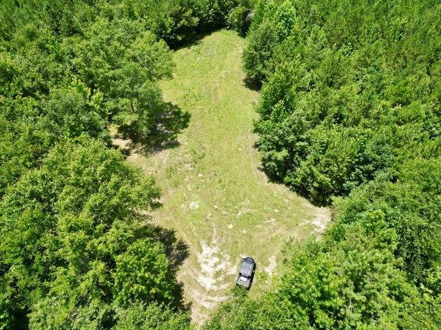 Land for sale in Georgiana, Alabama