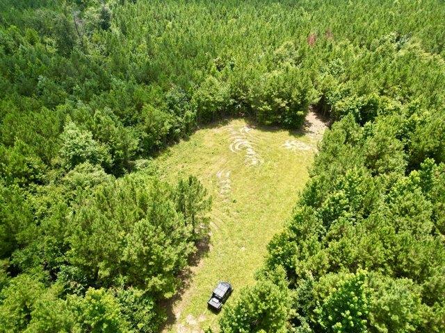 Land for sale in Georgiana, Alabama