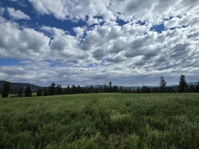 Land for sale in Harrison, Idaho