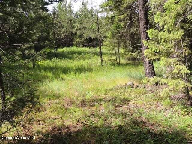 Land for sale in Spirit Lake, Kootenai County