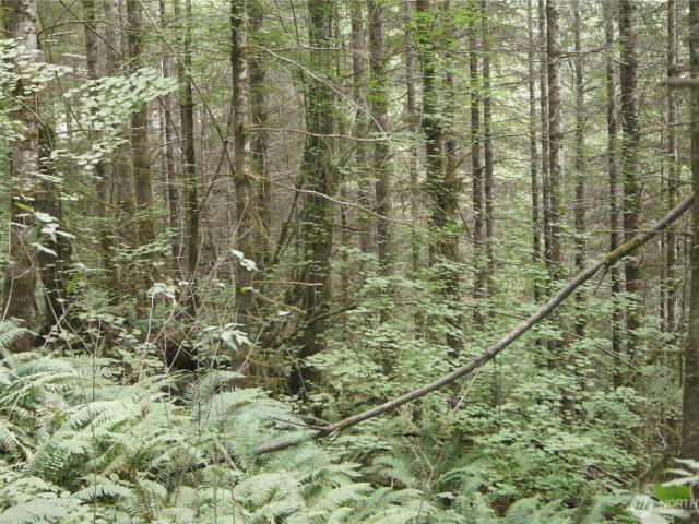 Land for sale in Oakville, Washington