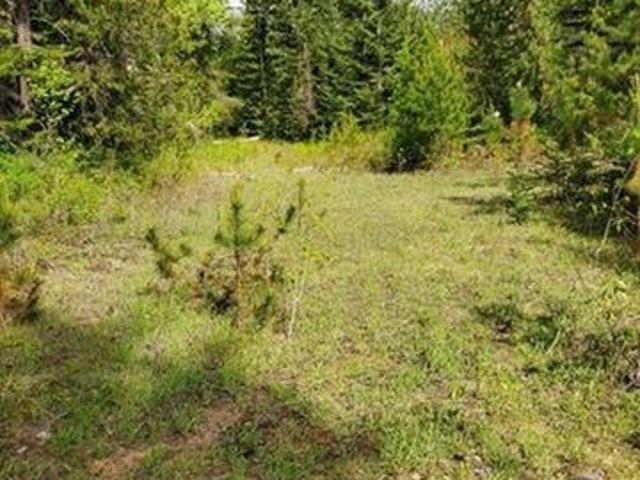 Land for sale in Newport, Washington