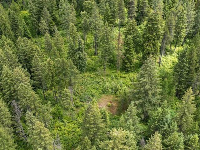 Land for sale in Mead, Washington