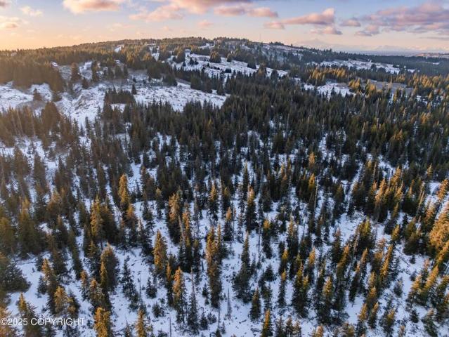 Land for sale in Homer