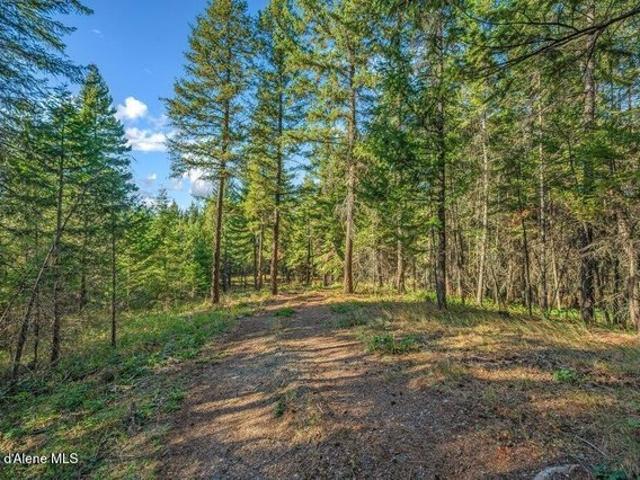 Land for sale in Athol, Idaho