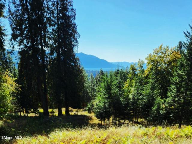 Land for sale in Hope, Idaho
