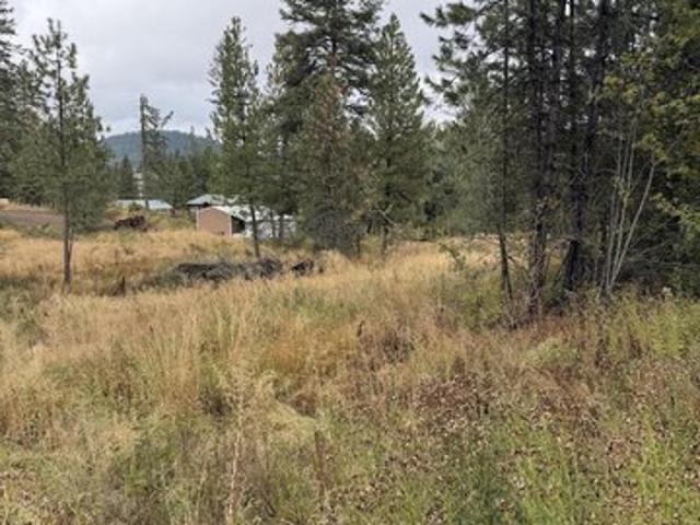 Land for sale in Plummer, Idaho