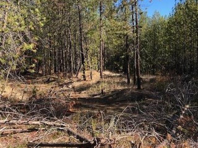 Land for sale in Blanchard, Bonner County