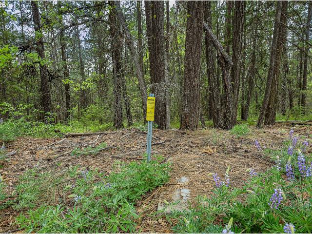 Land for sale in Goldendale, Washington