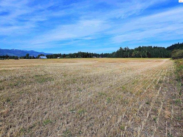 Land for sale in Sandpoint, Bonner County