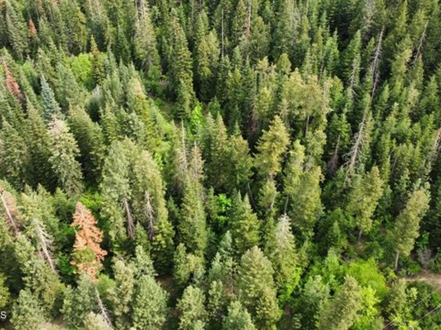 Land for sale in Saint Maries, Benewah County