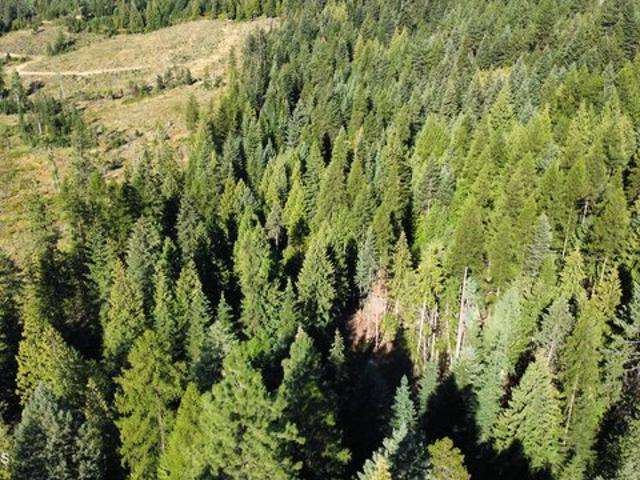 Land for sale in Saint Maries, Idaho