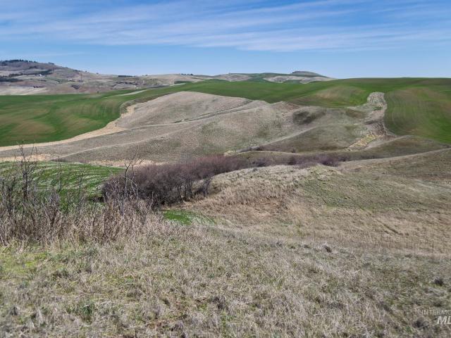Property for sale in Moscow, Idaho
