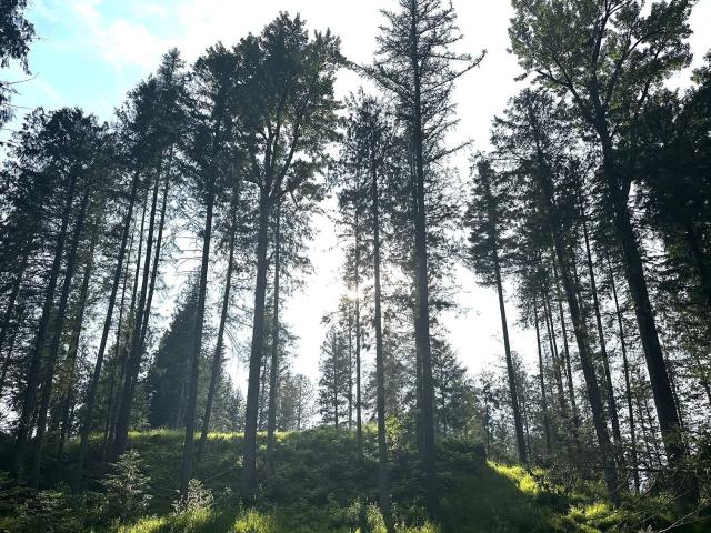 Property for sale in Sandpoint, Idaho