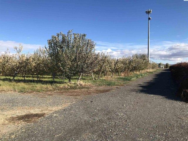 Farm for sale in Wapato, Washington