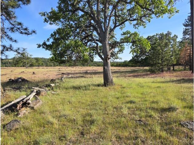 Land for sale in Goldendale, Klickitat County