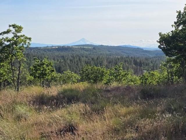 Land for sale in Goldendale, Washington