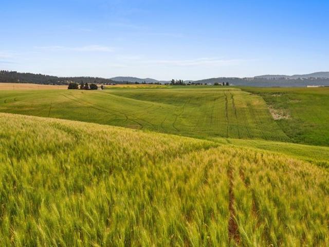 Land for sale in Spokane, Spokane County