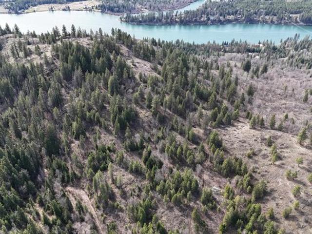 Land for sale in Ione, Washington