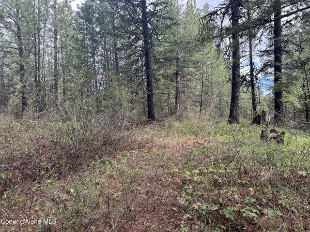 Land for sale in Plummer, Idaho