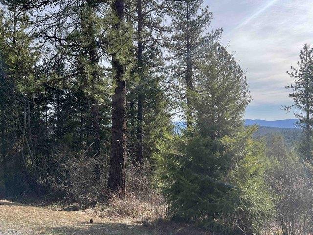 Land for sale in Colville, Washington