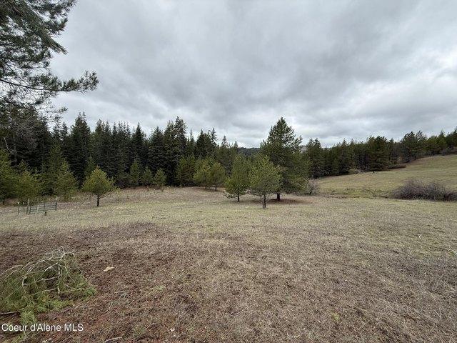 Land for sale in Saint Maries, Idaho