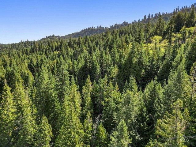 Land for sale in Kendrick, Idaho