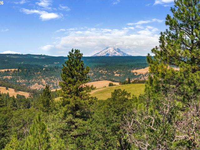 Land for sale in Lyle, Washington