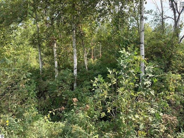 Land for sale in Standish, Michigan