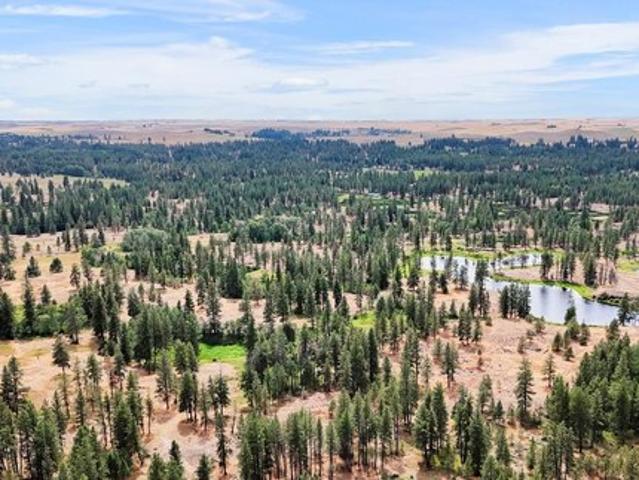Land for sale in Medical Lake, Washington